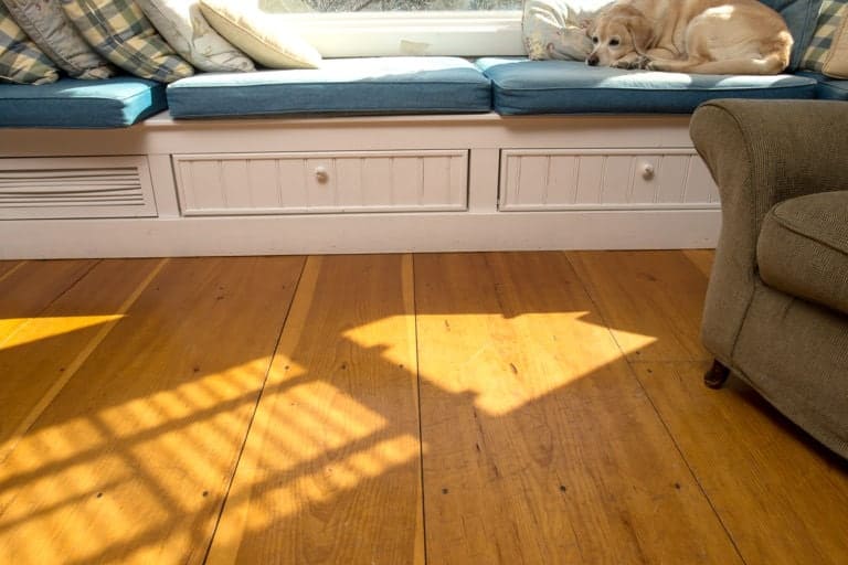 wide plank flooring with sleepy dog resting on couch